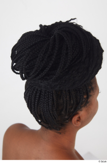 Dina Moses afro braided bun black african long hair 0006.jpg